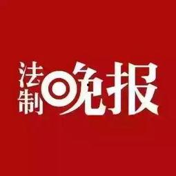 生活今日爆料新闻,揭秘最新热点事件背后的真相  第2张