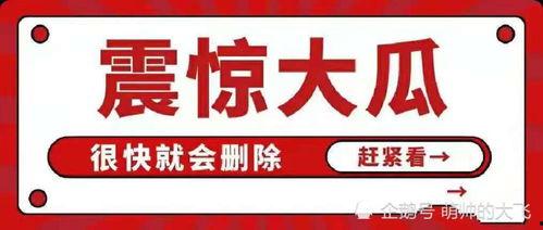 吃瓜娱乐集网页,揭秘娱乐圈幕后故事,带你领略明星生活点滴 第1张 吃瓜娱乐集网页,揭秘娱乐圈幕后故事,带你领略明星生活点滴 第1张